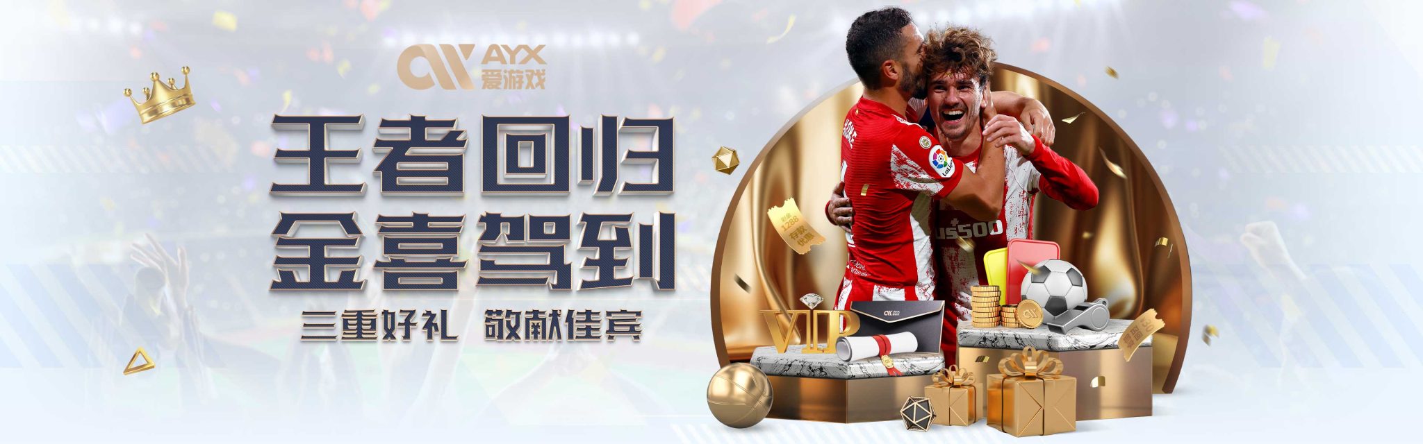 对阿斯顿维